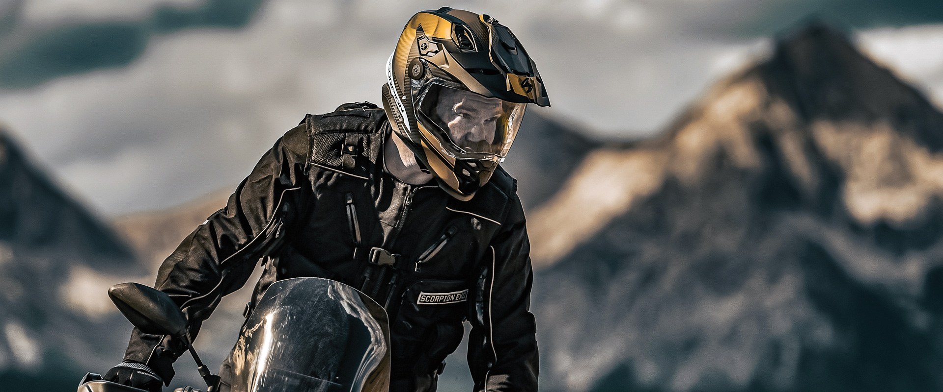 Scorpion Shop -Scorpion Shop Scorpion1