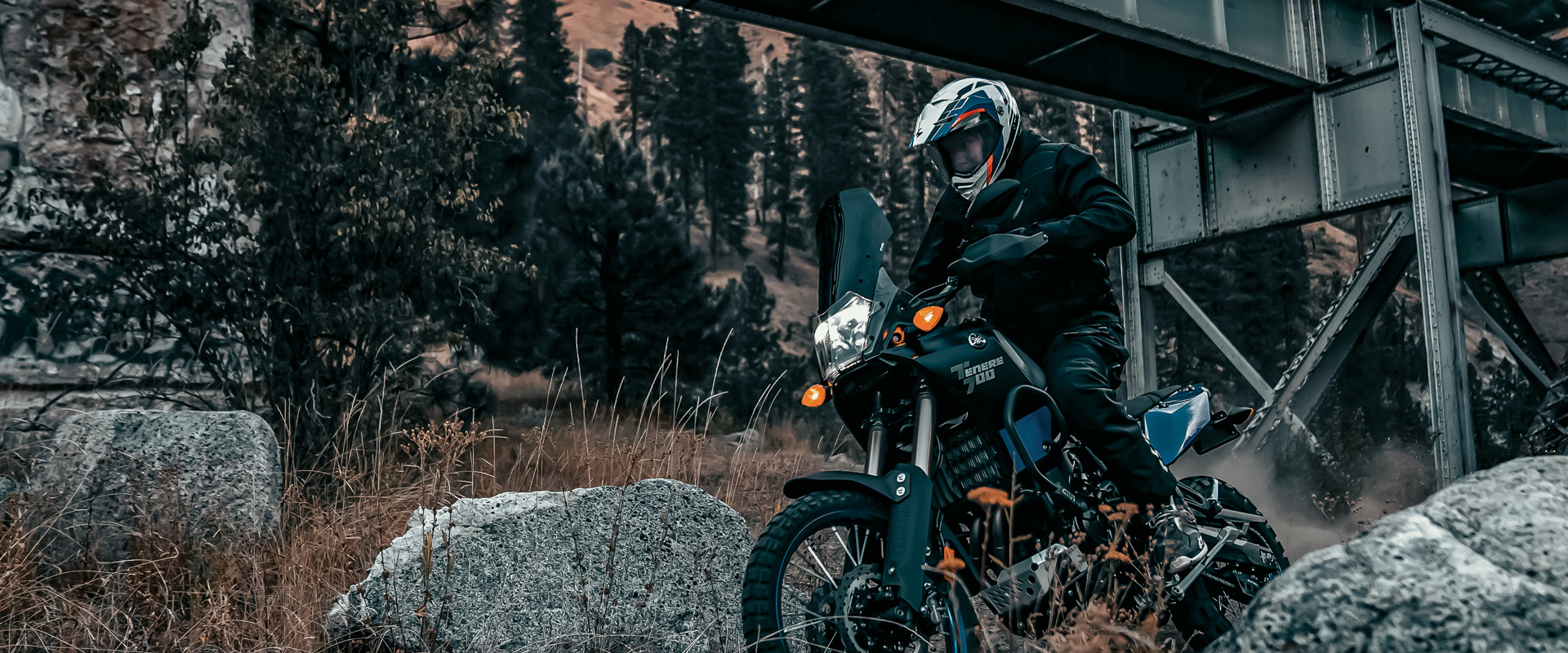 Scorpion Shop -Scorpion Shop Scorpion2