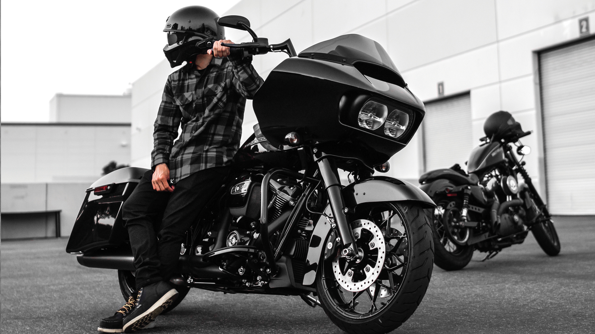 Scorpion Shop -Scorpion Shop Scorpion4