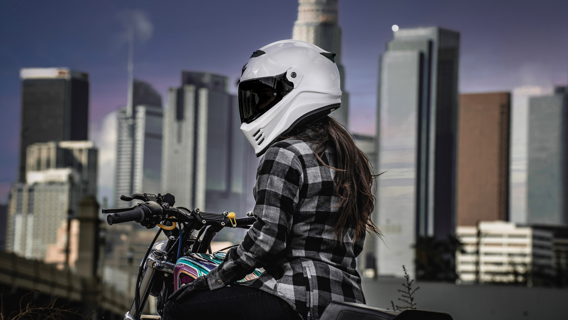 Scorpion Shop -Scorpion Shop Scorpion5